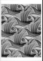fish vs. sailboats