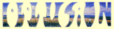 optical illusion ambigram