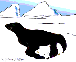 Ľadový Medveď vs Tuleň