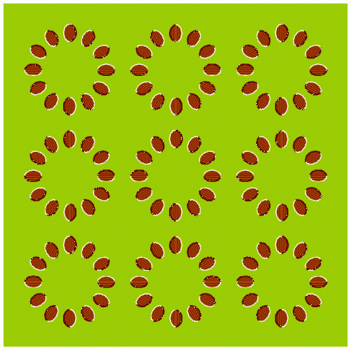 Illusory Motion